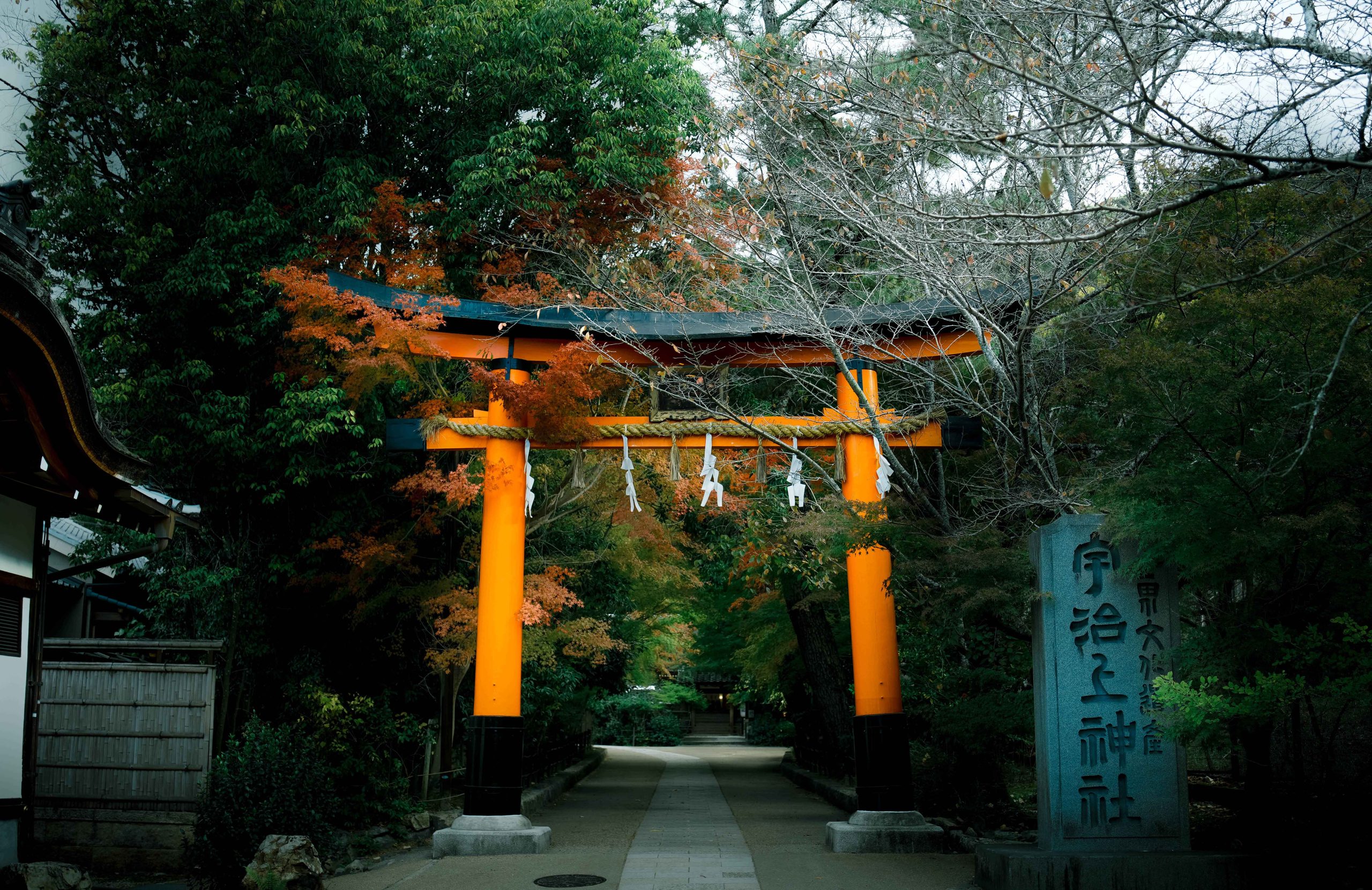 風景写真