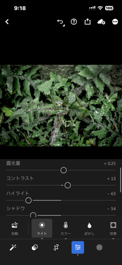 スマートフォン版lightroom現像画面